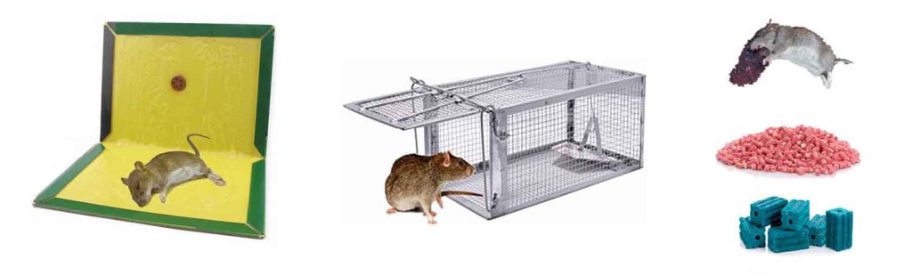کشتن موش به روش های خشن و ناراحت کننده موجب خسارت زیادی به زندگی و سلامت وارد میکند هیچ تاثیر عمیقی در دفع موش ندارد.