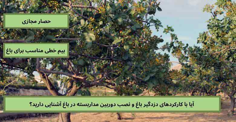 باغ پسته در رفسنجان، دامغان و شهر های کرمان یکی از مواردی است که نیاز به سیستم حفاظتی دزدگیر باغ دارد.