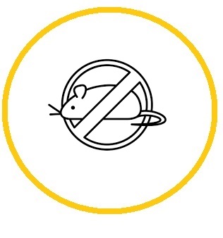 به روز ترین روش دفع موش