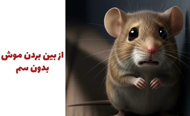 نابودی موش بدون سم