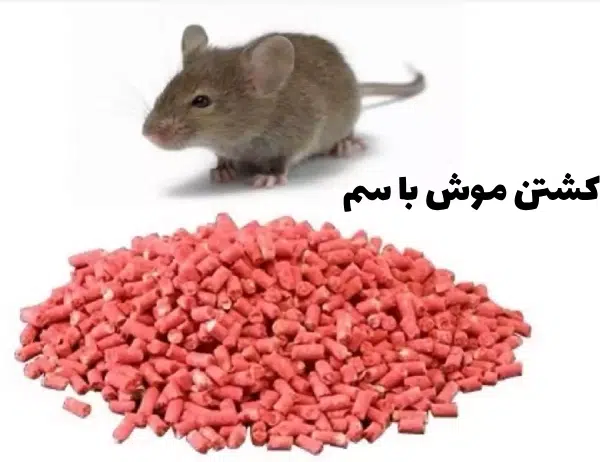 کشتن موش با سم